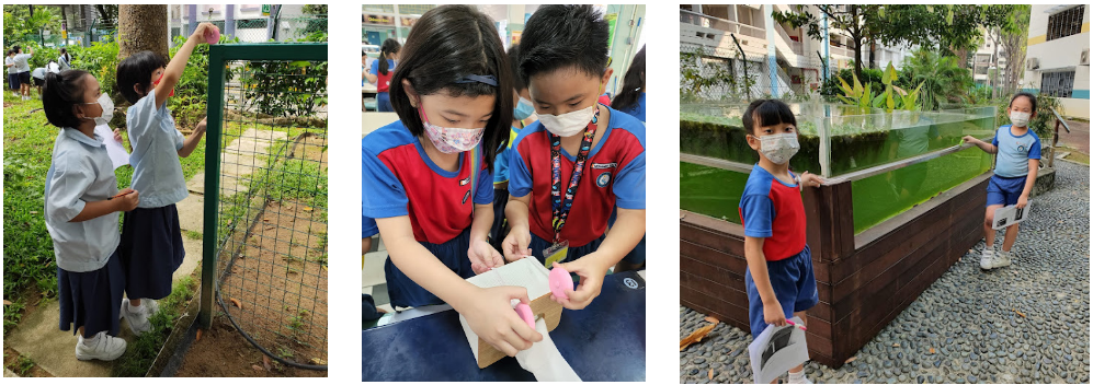 Three photos of masked schoolchildren outdoors, examining a fence, handling a craft project, and standing near a pond.